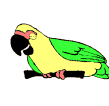 papagaio-imagem-animada-0065