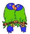 papagaio-imagem-animada-0075