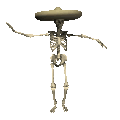 esqueleto-imagem-animada-0100