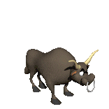 touro-imagem-animada-0044
