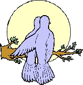 pombo-imagem-animada-0039