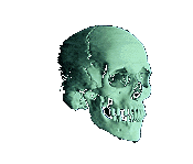 cranio-imagem-animada-0086