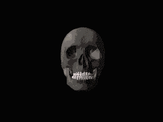 cranio-imagem-animada-0097