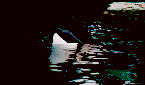baleia-imagem-animada-0020