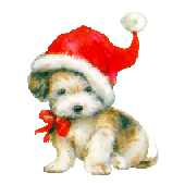 animal-de-natal-imagem-animada-0100