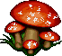 cogumelo-imagem-animada-0018