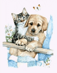 cachorro-e-gato-juntos-imagem-animada-0010