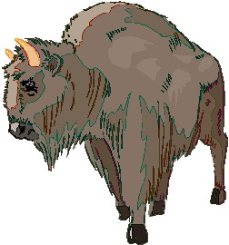bufalo-imagem-animada-0021