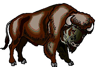 bufalo-imagem-animada-0053