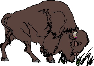 bufalo-imagem-animada-0071
