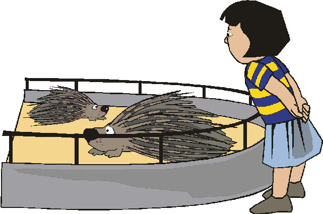 zoologico-imagem-animada-0159