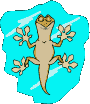 iguana-imagem-animada-0006