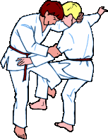 judo-imagem-animada-0032