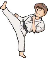 karate-imagem-animada-0026