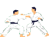 karate-imagem-animada-0052