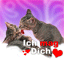 amor-imagem-animada-0797