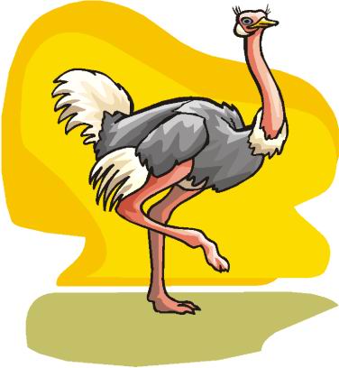avestruz-imagem-animada-0041