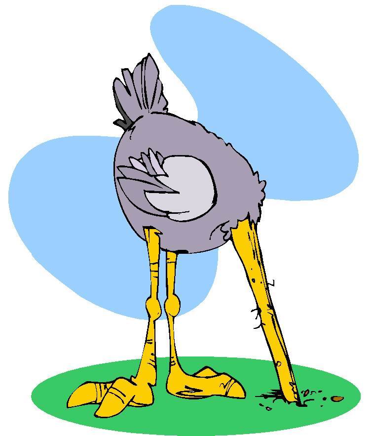 avestruz-imagem-animada-0061