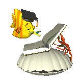 ostra-imagem-animada-0014