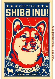 shiba-inu-imagem-animada-0009