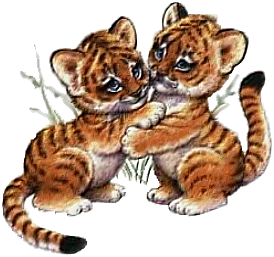 tigre-imagem-animada-0004