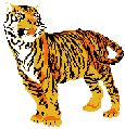 tigre-imagem-animada-0005