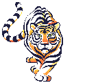tigre-imagem-animada-0013