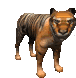 tigre-imagem-animada-0041