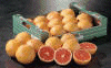 grapefruit-imagem-animada-0018