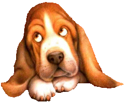 basset-hound-imagem-animada-0029