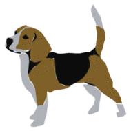 beagle-imagem-animada-0008