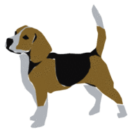beagle-imagem-animada-0008