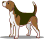 beagle-imagem-animada-0019