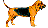 bloodhound-imagem-animada-0003