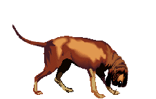 bloodhound-imagem-animada-0008