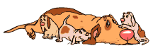 bloodhound-imagem-animada-0027