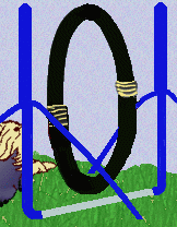 adestramento-de-caes-imagem-animada-0007