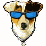 jack-russell-terrier-imagem-animada-0019