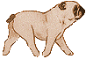 pug-imagem-animada-0005