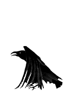 corvo-imagem-animada-0017