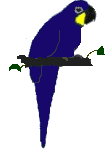 periquito-imagem-animada-0022