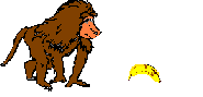 macaco-imagem-animada-0116