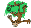 macaco-imagem-animada-0120