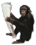 macaco-imagem-animada-0238
