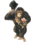 macaco-imagem-animada-0256