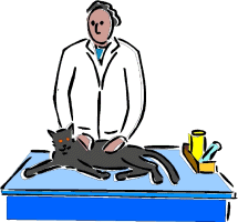 veterinario-imagem-animada-0028