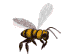 abelha-imagem-animada-0066