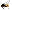 abelha-imagem-animada-0169