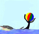golfinho-imagem-animada-0013