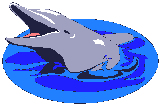 golfinho-imagem-animada-0078